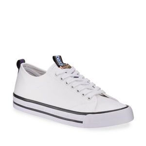 Roberto Cavalli Sport Canvas Logo Low-T